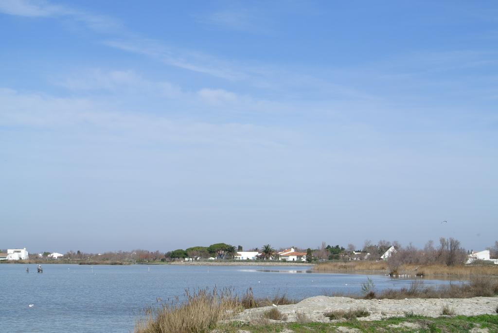 Hotel Les Palmiers En Camargue Сент-Марі-де-ла-Мер Номер фото