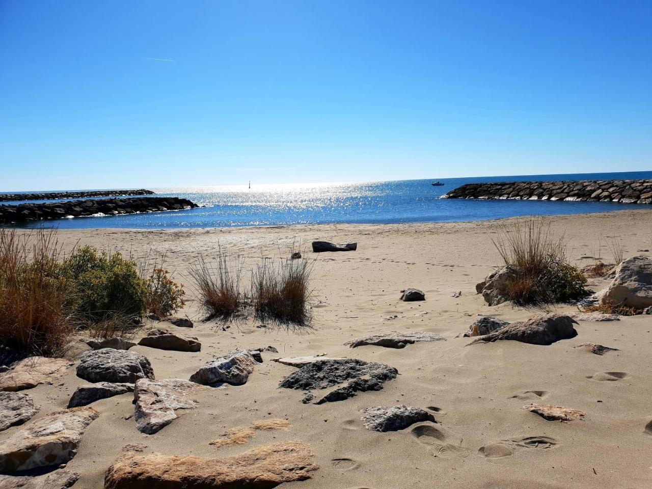 Hotel Les Palmiers En Camargue Сент-Марі-де-ла-Мер Екстер'єр фото